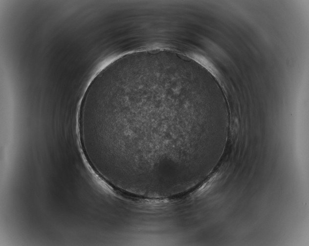 X0000087331055200704201124