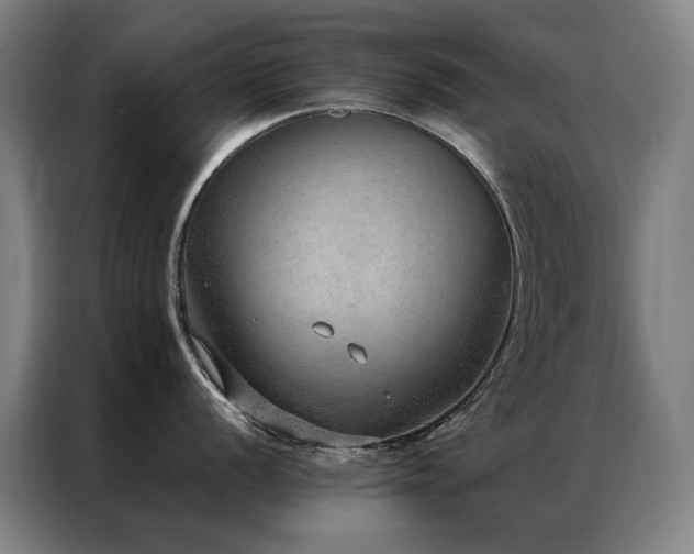 X0000087331056200704201124