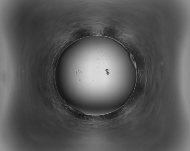 X0000087331057200704201124