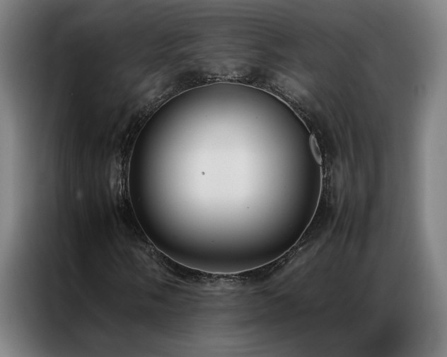 X0000087331058200704201124