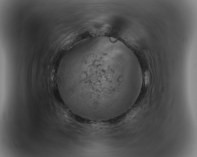 X0000087331059200704201124