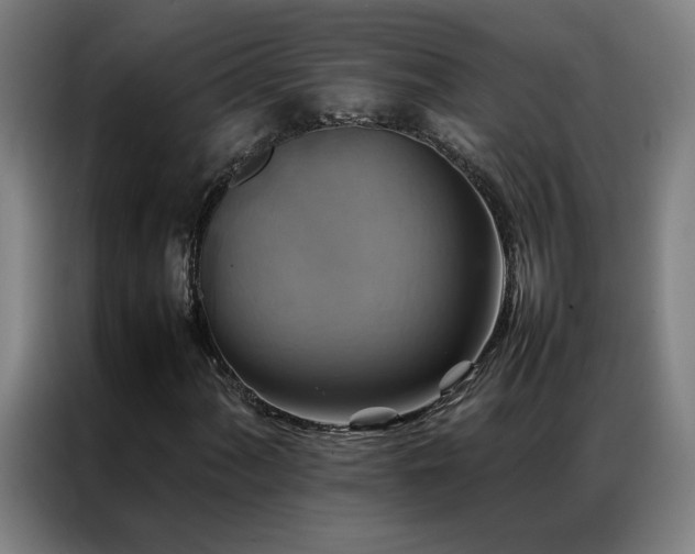 X0000087331060200704201124