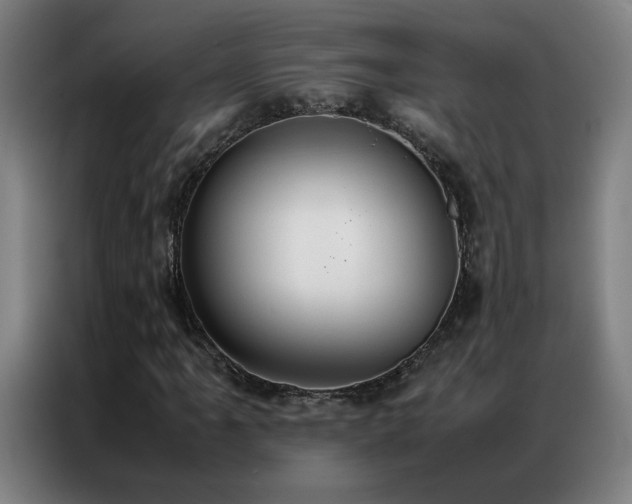 X0000087331061200704201124
