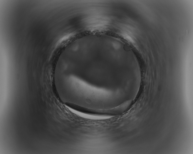 X0000087331063200704201124