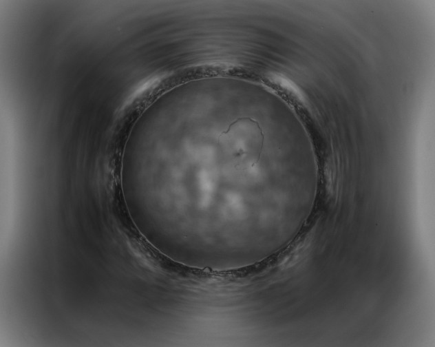 X0000087331064200704201124