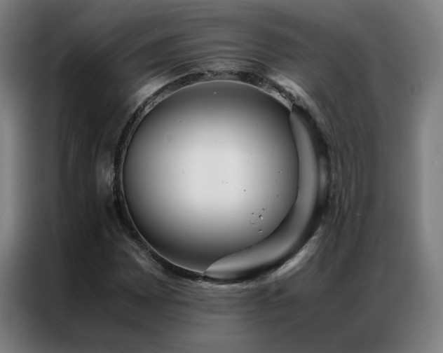 X0000087331065200704201124