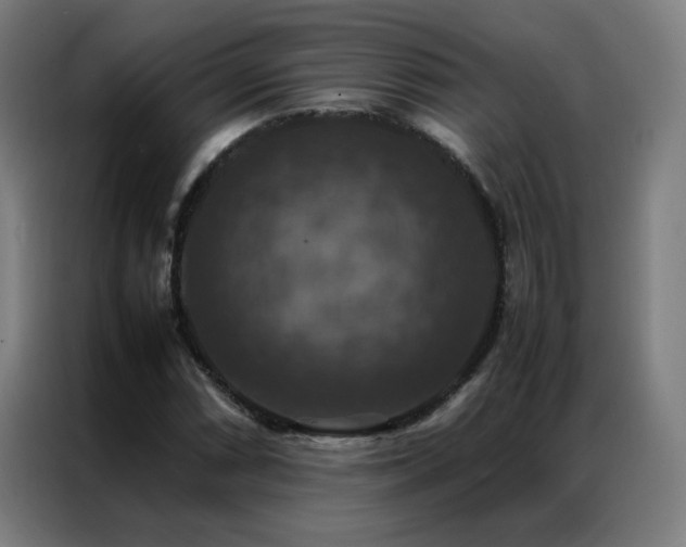 X0000087331066200704201124