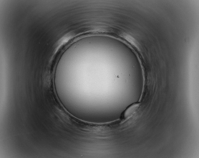 X0000087331067200704201124
