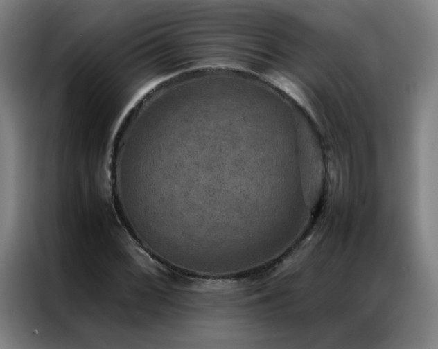 X0000087331068200704201124