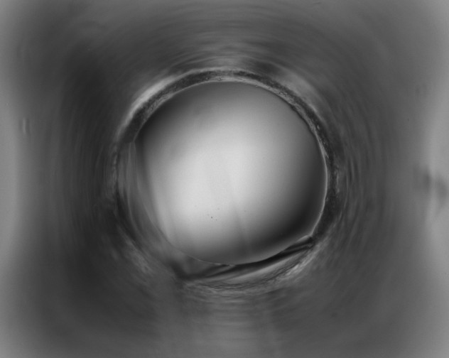 X0000087331069200704201124