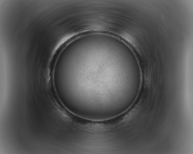 X0000087331070200704201124