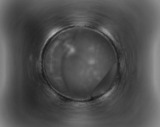 X0000087331071200704201124