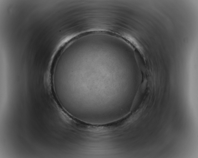 X0000087331072200704201124