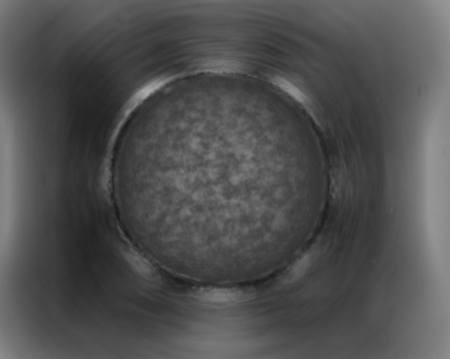 X0000087331074200704201124