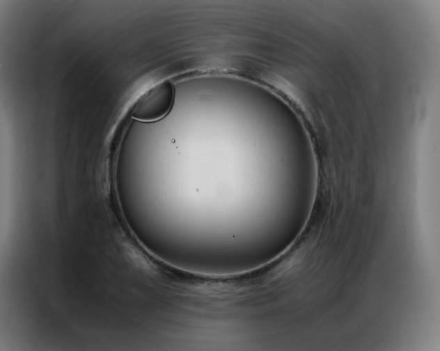 X0000087331075200704201124