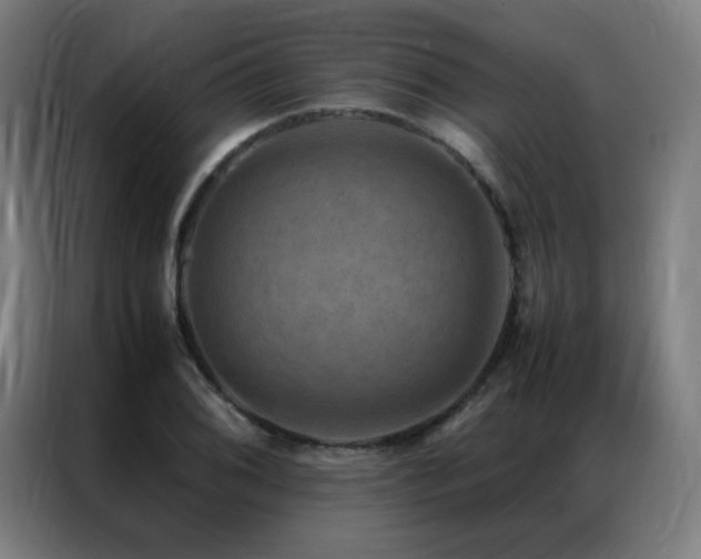 X0000087331076200704201124