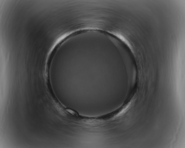 X0000087331077200704201124