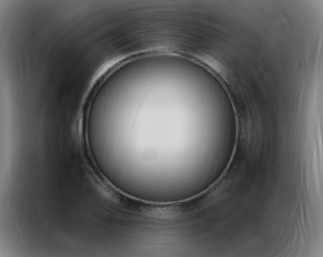 X0000087331078200704201124
