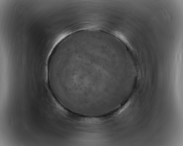 X0000087331079200704201124