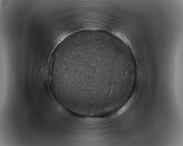 X0000087331081200704201124