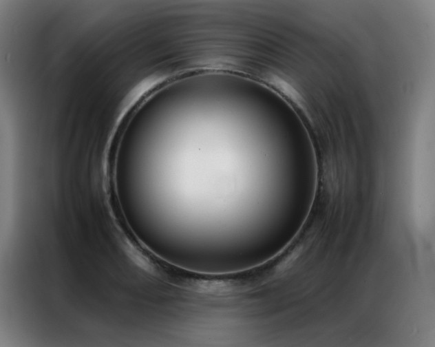 X0000087331082200704201124