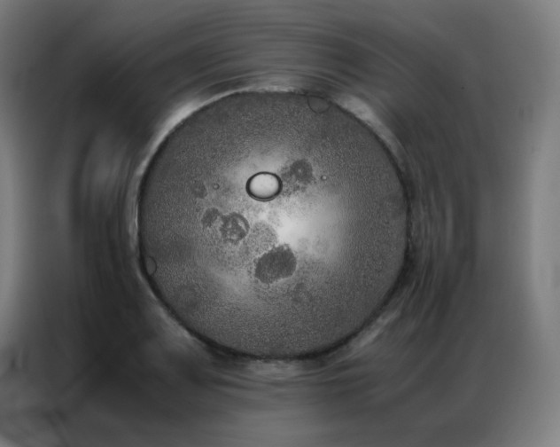 X0000087331083200704201124