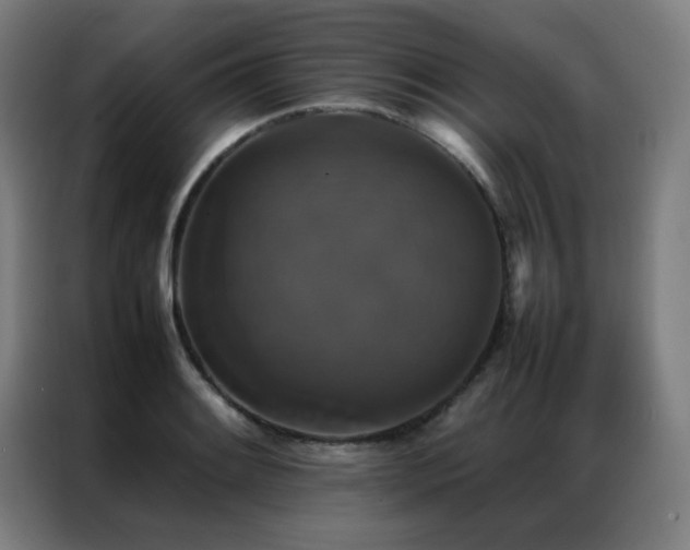 X0000087331084200704201124