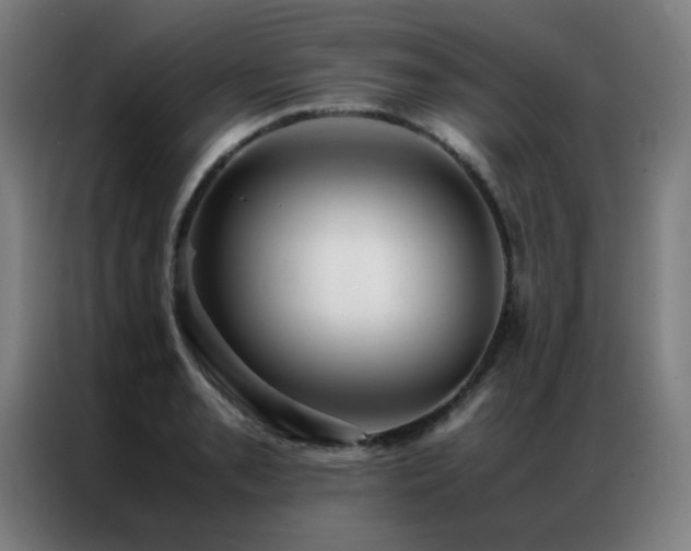 X0000087331085200704201124