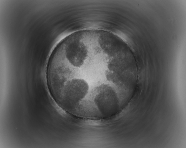 X0000087331086200704201124