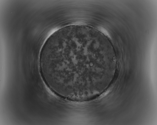 X0000087331087200704201124