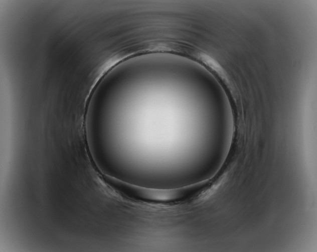 X0000087331089200704201123