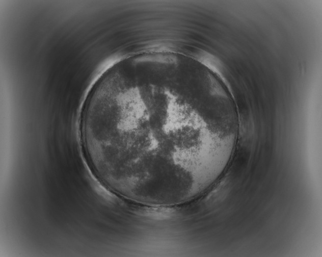 X0000087331090200704201123