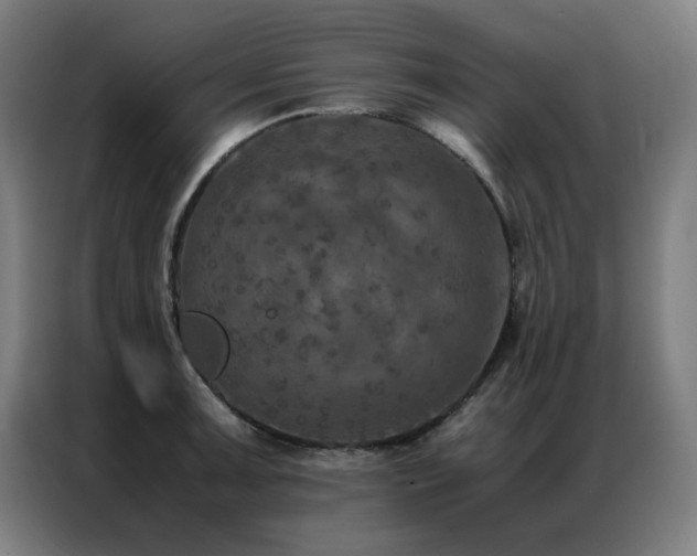 X0000087331091200704201123