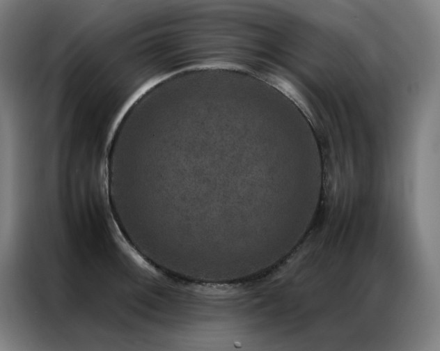 X0000087331092200704201123