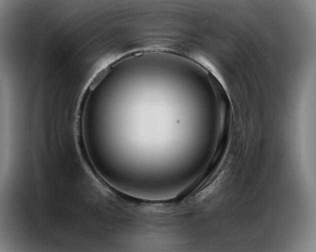 X0000087331093200704201123