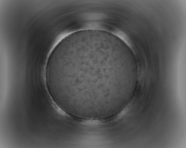 X0000087331094200704201123