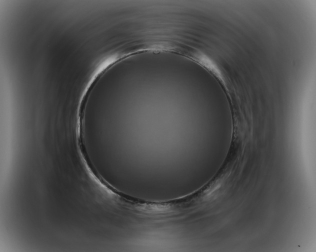 X0000087331095200704201123