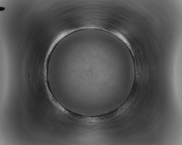 X0000087331096200704201123