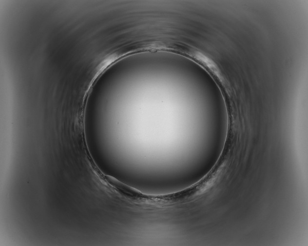 X0000087331097200704201123