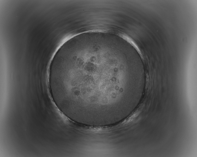 X0000087331099200704201123