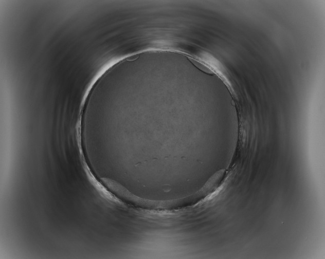 X0000087331100200704201123