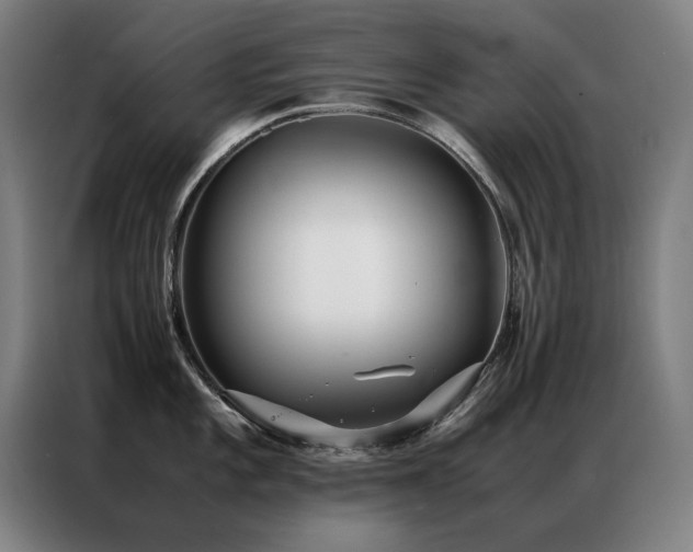 X0000087331101200704201123
