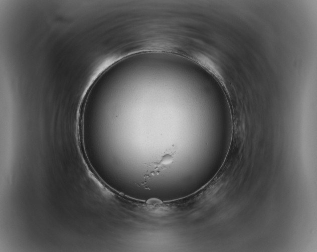 X0000087331103200704201123