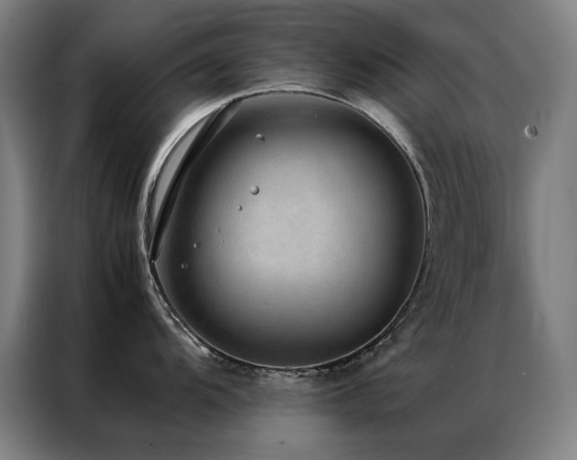 X0000087331104200704201123