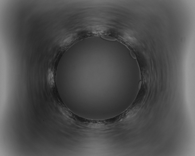 X0000087331106200704201123