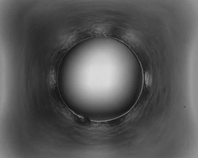 X0000087331107200704201123