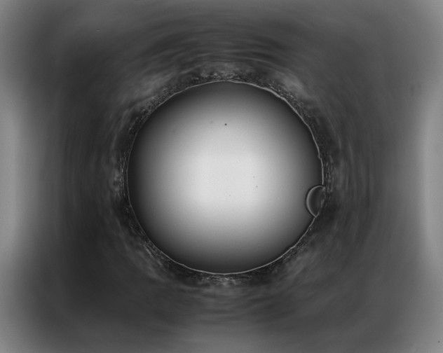 X0000087331109200704201123