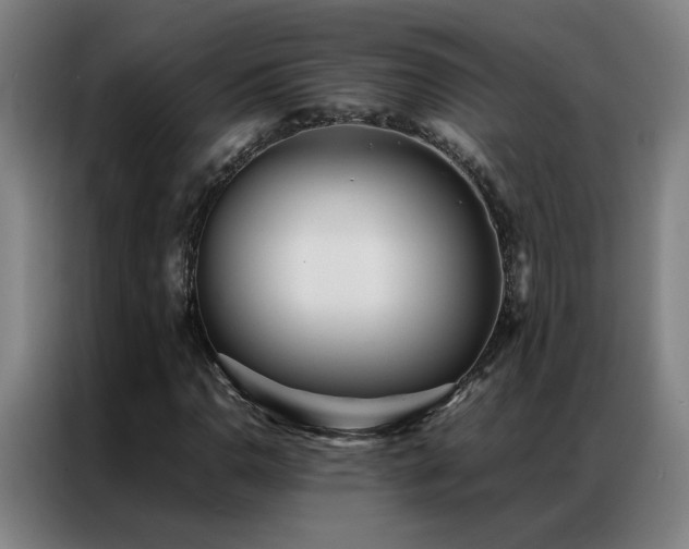 X0000087331110200704201123