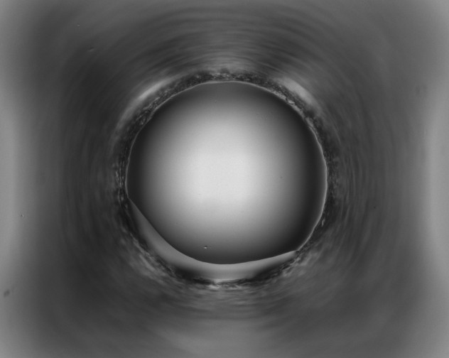 X0000087331112200704201123