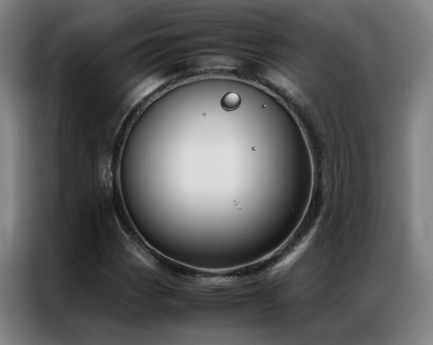 X0000087331113200704201123